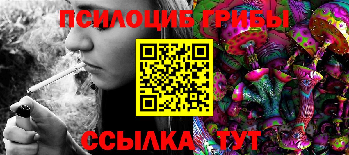 сколько стоит  Галлюциногенные грибы мухоморы  Вход с VPN  Сегежа 
